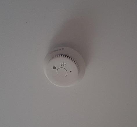 Ideal für Anfänger