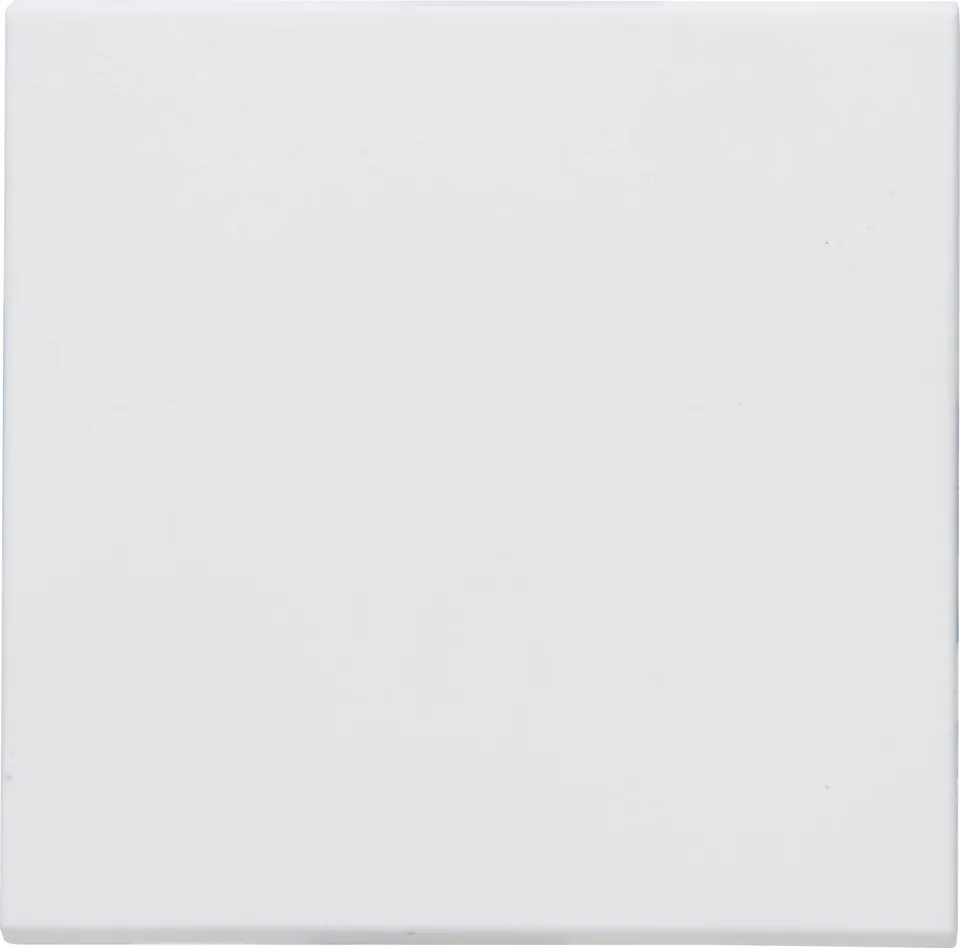 kopp-athenis-fl-chenwippe-f-r-hybrid-smart-switch-reinwei-832901184 image 1