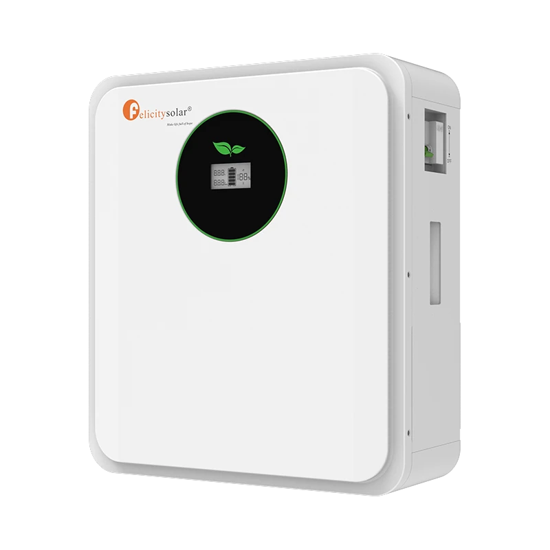 felicity-solar-fla24100-eu-lifepo4-solarspeicher-24v-100ah image 2